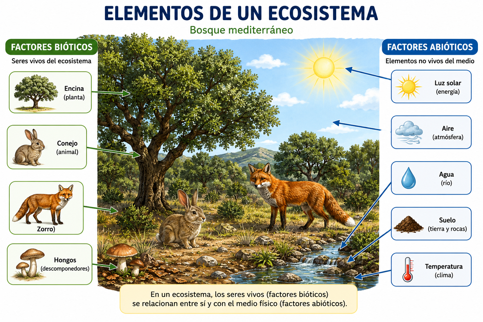 Elementos de un ecosistema